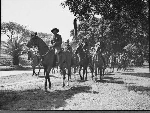 Country districts horse parade, Light Horse company