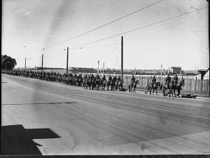 Country districts horse parade, Light Horse company