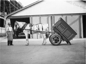 Horse drawn tip-dray of A.C. Saxton & Sons with pneumat...