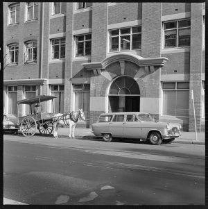 File 17: W.C. Penfold horse and cart outside 49 Clarenc...