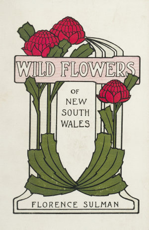 A popular guide to the wild flowers of New South Wales ...