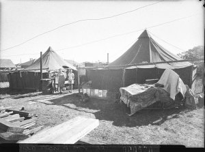 Poor families living under canvas at Lidcombe, Auburn o...