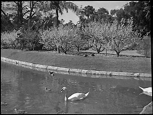 View in Botanic Gardens