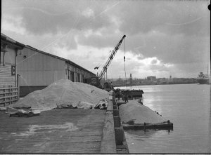 200 tons of sugar off-loaded from the "Caloundra" when ...