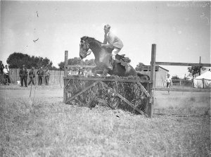 A male rider clears the brush hurdle
