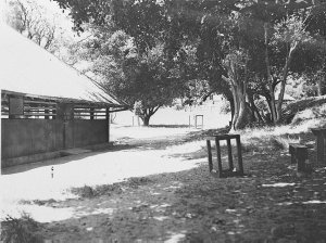 An unidentified picnic pavilion in a park [Parsley Bay ...