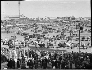 Royal Easter Show, 1936