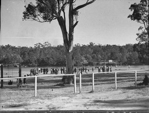 10,000 metres cross-country race, Parramatta Park