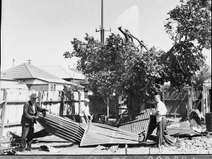 Storm damage, Botany (cyclone)