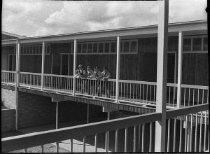 New modern primary school at Speers Point