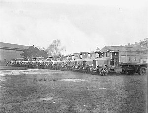 A line up of twenty Dodge and Albion trucks of carrier William McKeown Ltd