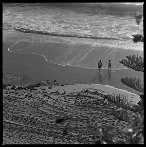 File 18: High tide - Newport, April 1985 / photographed...