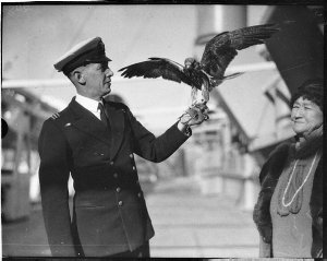 Falcon on "Orama"