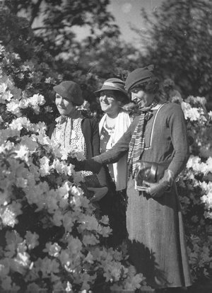 Three women admiring the early spring azaleas, Botanic ...