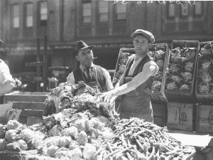 A barrowman selling lettuces from his barrow