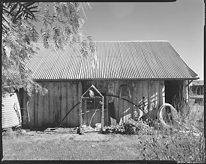 File s: Landscape, 1970s / photographed by Max Dupain