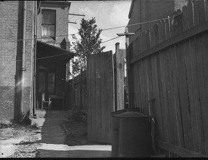 Backyard (legal job for Mr Hall)