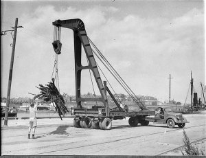 Pittman mobile crane (job for Transportation)