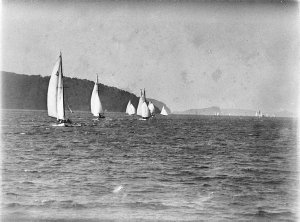 A mass of yachts beating southwards from Lion Island