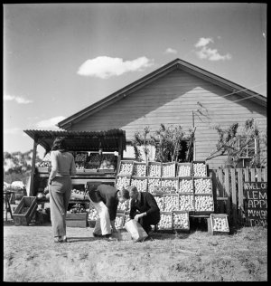File 08: Roadside fruit stall on the Princes Highway, n...