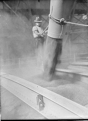 Loading wheat onto a cargo ship (taken for Labor Daily?...