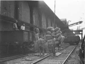 Loading a steamer at AUSN Co's wharf, Darling Harbour