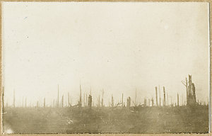 War snapshots by 3461 Cpt. W.H. Burrell M.M.