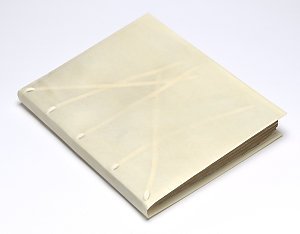 Collection 03: Ralph Clark journal kept on the Friendsh...