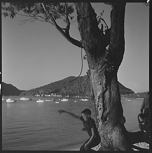 File 12: [Various Shoal Bay and Nelson Bay], 1960s-1970...