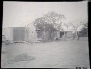 Stables, shed, yards, Government orchard, Dural