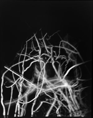 File 31: Still life abstracts, 1930-1985 / photographed...