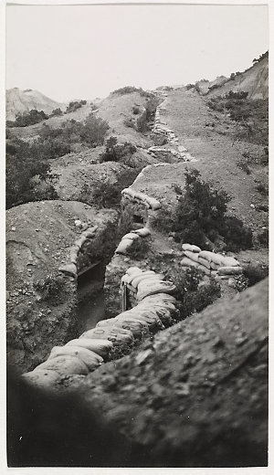 Dr. Herschel Harris war photographs in France and Lemno...
