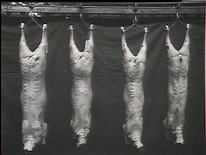 Showing four grades of mutton, back