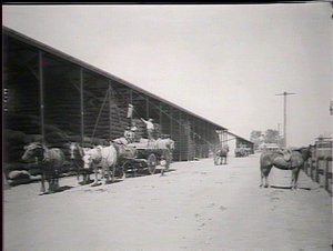 Unloading in Coolamon railway yard