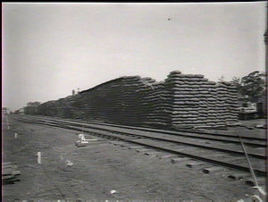 Wheat in railway yard, Coolamon