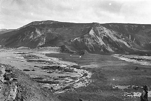 C308: Part of panorama of Macquarie Island from North H...