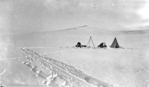 P065: Camp near Mount Barr Smith / Andrew D. Watson