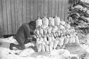 H695: Sledging rations ready for the trek. The figure i...