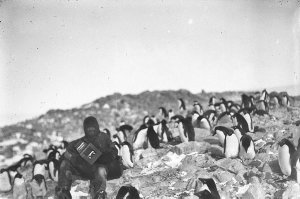 H602: Frank Hurley amongst the penguins / Frank Hurley