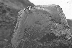 H318: Scratched and polished boulder of Eagle Point. ga...