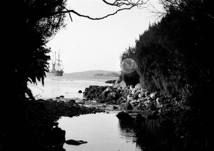 Q310: At anchor in Auckland Islands / F. J. Gillies