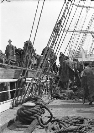 Q083: Coaling the S.Y. Aurora at Kiama / F. J. Gillies
