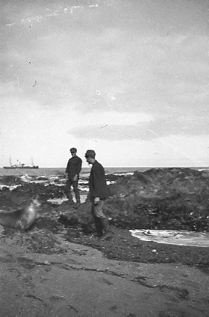 Q454: Sailors on shore, Macquarie Island / Harry Coombe
