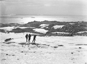 Q793: Sledging geological specimens to the Hut. Spring ...