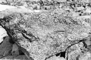 H646: Erratic of corundum schist near Cape Denison / Fr...