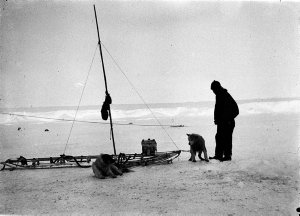 Q297: On the floe near The Grottoes / F. J. Gillies