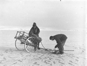 C241: Laseron and Hunter with hand cart containing dred...