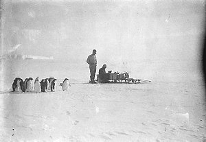 H253: On the floe ice off the Shackleton Shelf