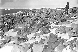 H659: A field of frost fractured rocks, Cape Denison / ...