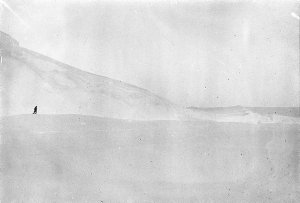 H226: Face of Shackleton Shelf / C. Archibald Hoadley